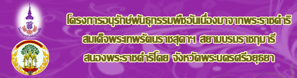 ภาพ logo website หน่วยงานยุทธศาสตร์